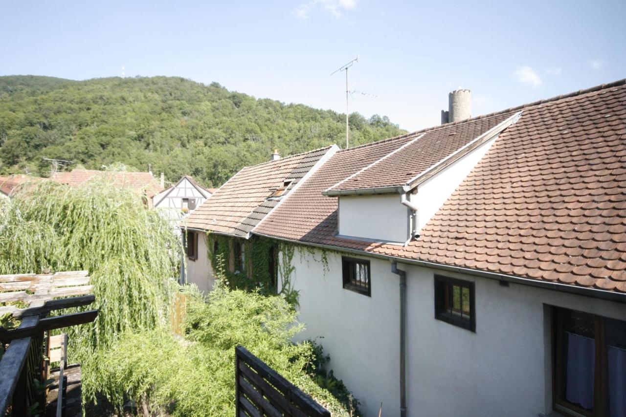 Appartement Le Keiler Kaysersberg-Vignoble Eksteriør bilde